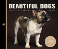 Omslagafbeelding: Beautiful Dogs 9781782400752