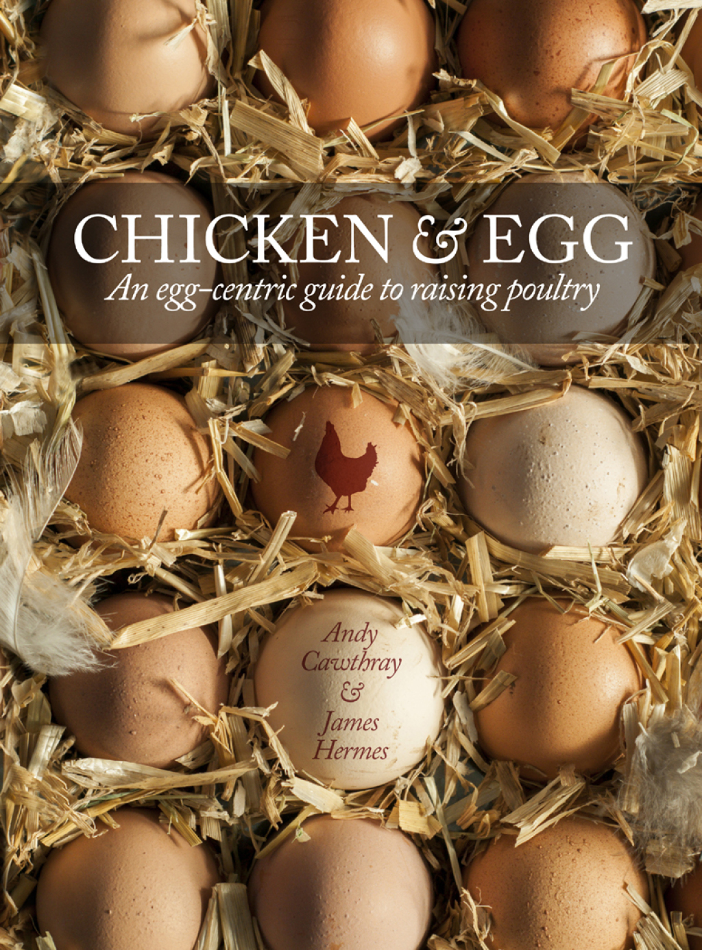 Chicken & Egg An egg-centric guide to raising poultry