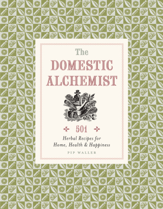 Imagen de portada: The Domestic Alchemist 9781782401438