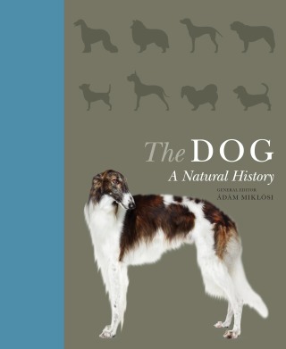 表紙画像: The Dog 9781782405627