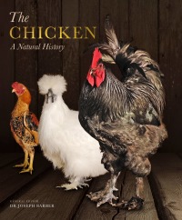 Cover image: The Chicken 9781782405467