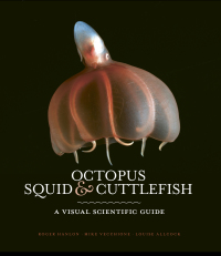 صورة الغلاف: Octopus, Squid & Cuttlefish 9781782405702