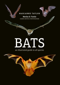 Cover image: Bats 9781782405573