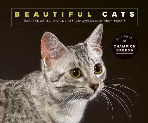 Beautiful Cats: Portraits of champion breeds - FULL INSTANT DOWNLOAD | PDF DOCX EPUB