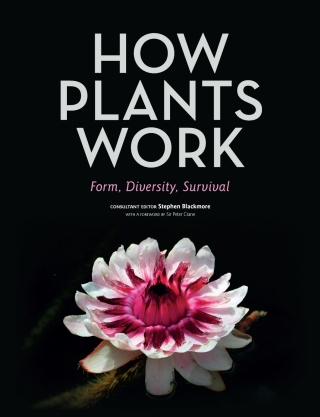 表紙画像: How Plants Work 9781782406976