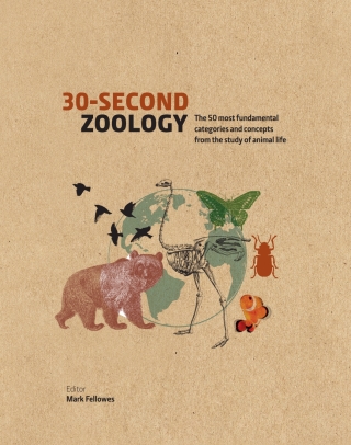 Titelbild: 30-Second Zoology 9781782408536