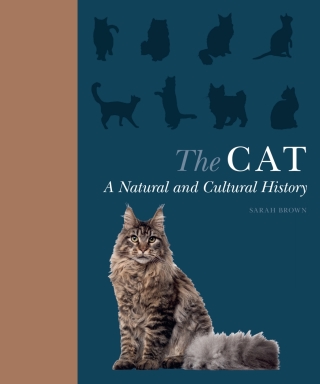 Titelbild: The Cat 9781782408574