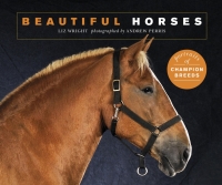 Omslagafbeelding: Beautiful Horses 9781782407799