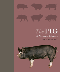 Imagen de portada: The Pig 9781782406174