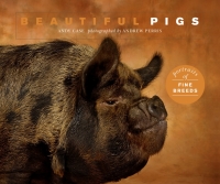 Imagen de portada: Beautiful Pigs 9781782407782