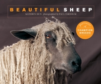 Imagen de portada: Beautiful Sheep 9781782407775