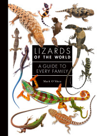 Imagen de portada: Lizards of the World 9781782409571