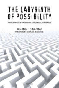 Cover image: The Labyrinth of Possibility: A Therapeutic Factor in Analytical Practice 9781782201762