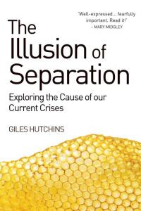 Cover image: Illusion of Separation 9781782501275