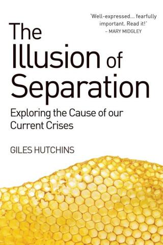 Imagen de portada: Illusion of Separation 9781782501275