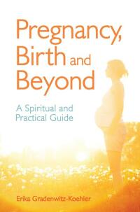 Omslagafbeelding: Pregnancy, Birth and Beyond 9781782501282