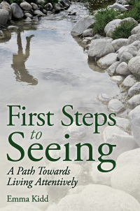 Cover image: First Steps to Seeing 9781782501695