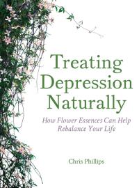 表紙画像: Treating Depression Naturally 9781782504276