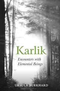 Cover image: Karlik 9781782504443