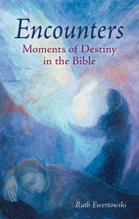 Titelbild: Encounters: Moments of Destiny in the Bible 9781782508687