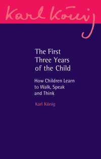 Cover image: The First Three Years of the Child 3rd edition 9781782508472