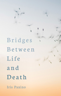 Imagen de portada: Bridges Between Life and Death 9781782506454