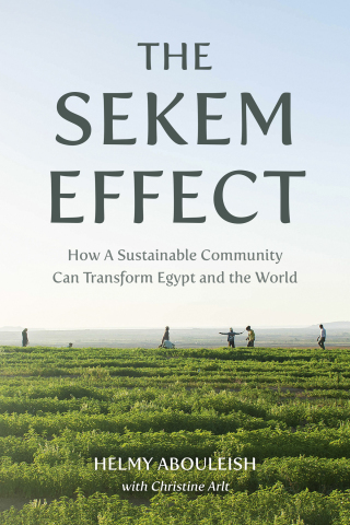 Cover image: The Sekem Effect 9781782509431