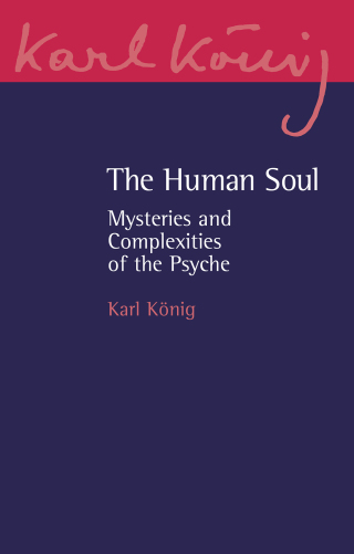 Omslagafbeelding: The Human Soul 3rd edition 9781782509653