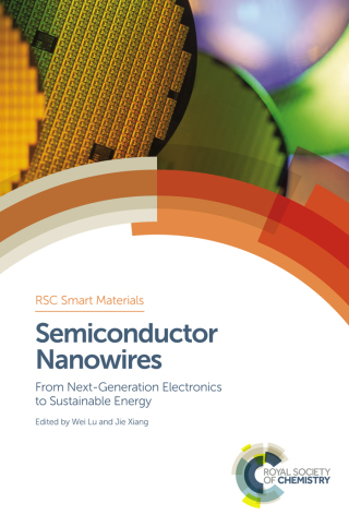 Imagen de portada: Semiconductor Nanowires 1st edition 9781849738156