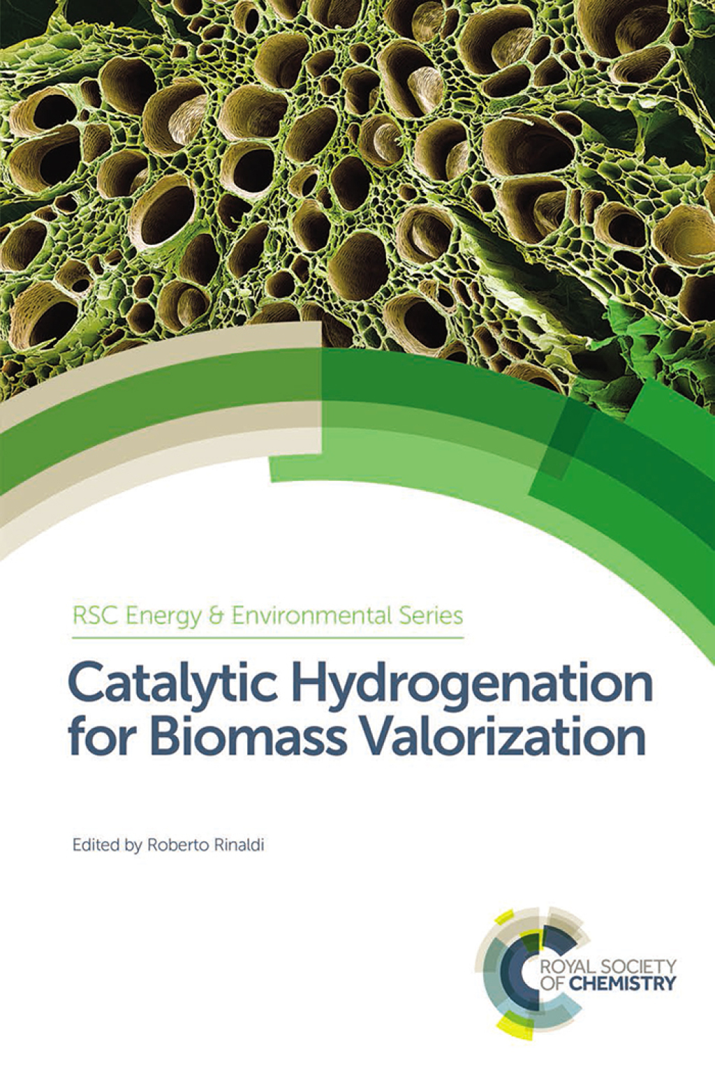 Catalytic Hydrogenation for Biomass Valorization 1st Edition