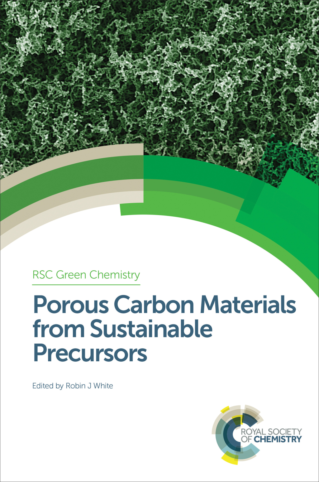 Porous Carbon Materials from Sustainable Precursors 1st Edition