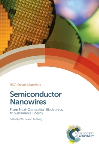 Omslagafbeelding: Semiconductor Nanowires 1st edition 9781849738156
