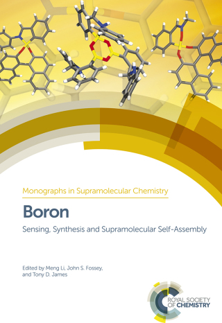 Imagen de portada: Boron 1st edition 9781849736749