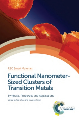 Omslagafbeelding: Functional Nanometer-Sized Clusters of Transition Metals 1st edition 9781849738248