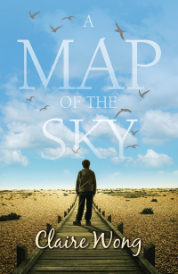 Cover image: A Map of the Sky 1st edition 9781782642695