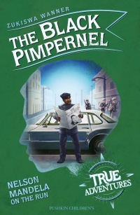 Cover image: The Black Pimpernel 9781782693079