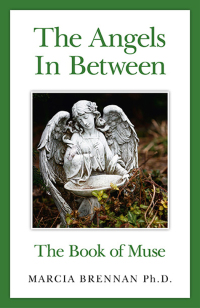 Cover image: The Angels In Between 9781782791140