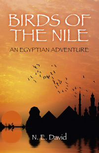 Cover image: Birds of the Nile 9781782791584