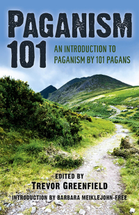 Cover image: Paganism 101 9781782791706