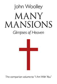 Immagine di copertina: Many Mansions 9781782791911