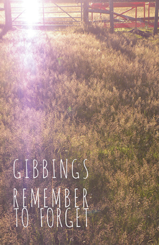 Cover image: Remember to Forget 9781782793885