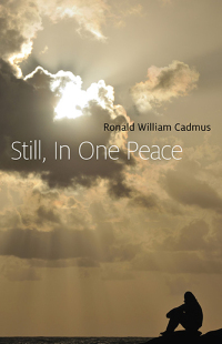 Titelbild: Still, In One Peace 9781782794745