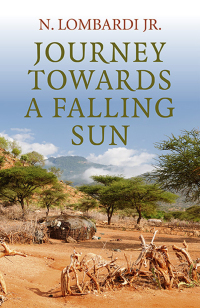 Cover image: Journey Towards a Falling Sun 9781782794943