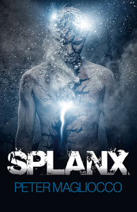 Cover image: SPLANX 9781782794981
