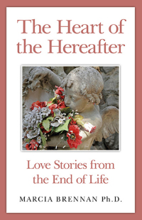 Cover image: The Heart of the Hereafter 9781782795285