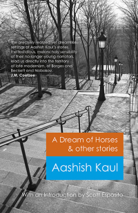 Titelbild: A Dream of Horses & Other Stories 9781782795360