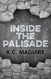 Cover image: Inside the Palisade 9781782797159