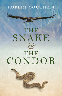 Omslagafbeelding: The Snake and the Condor 9781782797319