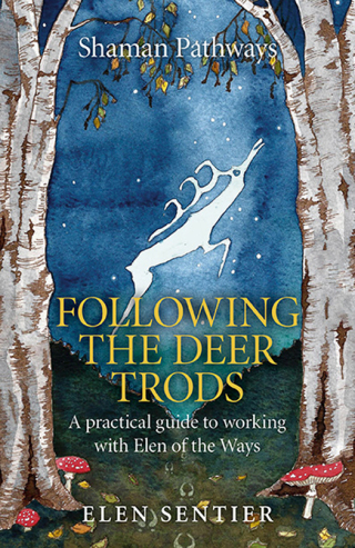 Imagen de portada: Shaman Pathways - Following the Deer Trods 9781782798262