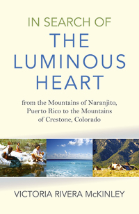 Cover image: In Search of the Luminous Heart 9781782798996